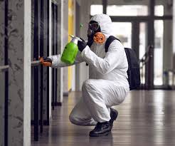 Best Mold Prevention Services  in Schler Park, IL