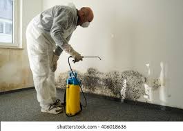 Best Commercial Mold Inspection  in Schler Park, IL